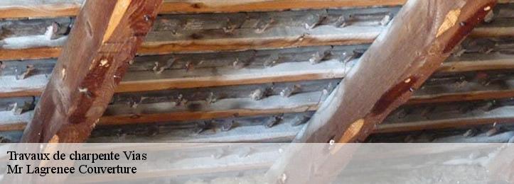 Travaux de charpente 34450