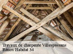Travaux de charpente villespassans-34360 Rénov Habitat 34
