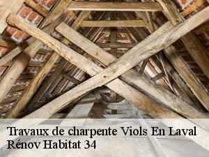 Travaux de charpente  viols-en-laval-34380 Rénov Habitat 34 