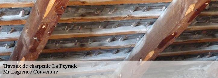 Travaux de charpente 34110