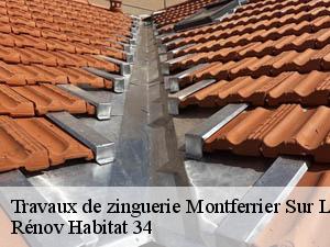 Travaux de zinguerie  montferrier-sur-lez-34980 Rénov Habitat 34 