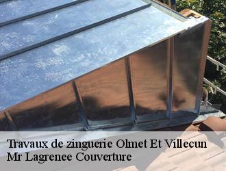 Travaux de zinguerie olmet-et-villecun-34700 Mr Lagrenee Couverture