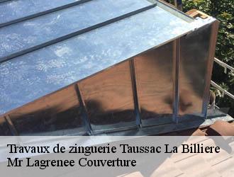 Travaux de zinguerie taussac-la-billiere-34600 Mr Lagrenee Couverture