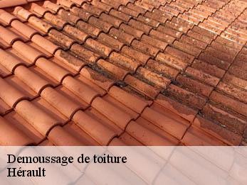 Demoussage de toiture Hérault 