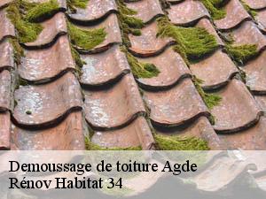 Demoussage de toiture  agde-34300 Rénov Habitat 34 