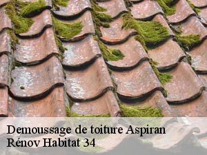 Demoussage de toiture  aspiran-34800 Rénov Habitat 34 