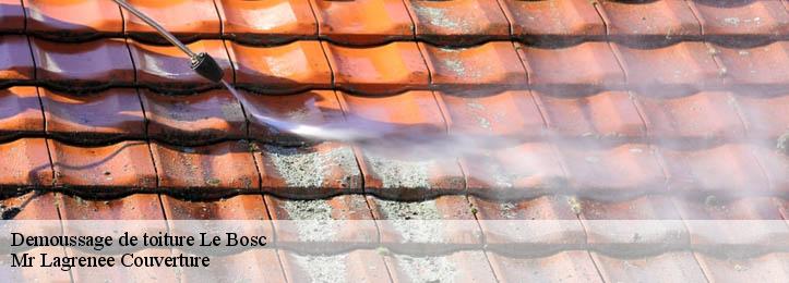 Demoussage de toiture 34700