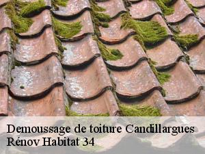 Demoussage de toiture  candillargues-34130 Rénov Habitat 34 