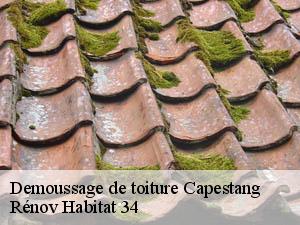 Demoussage de toiture  capestang-34310 Rénov Habitat 34 