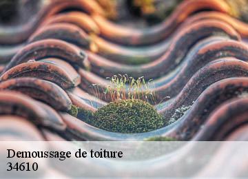 Demoussage de toiture 34610
