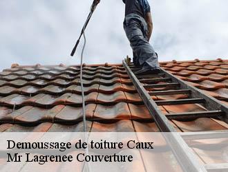 Demoussage de toiture caux-34720 Mr Lagrenee Couverture