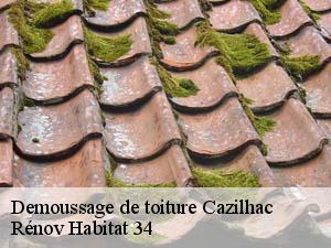 Demoussage de toiture  cazilhac-34190 Rénov Habitat 34 