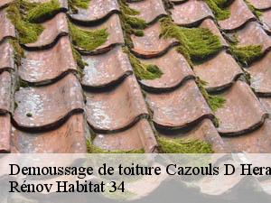Demoussage de toiture  cazouls-d-herault-34120 Rénov Habitat 34 