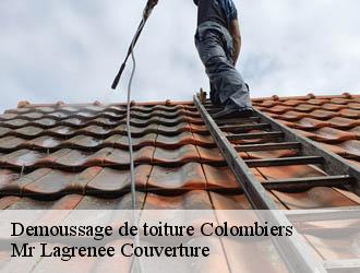 Demoussage de toiture colombiers-34440 Mr Lagrenee Couverture