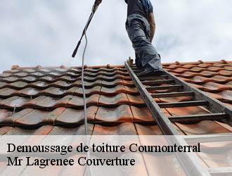 Demoussage de toiture cournonterral-34660 Mr Lagrenee Couverture
