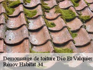 Demoussage de toiture  dio-et-valquieres-34650 Rénov Habitat 34 