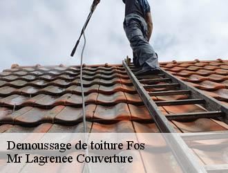 Demoussage de toiture fos-34320 Mr Lagrenee Couverture