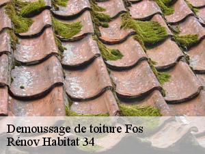 Demoussage de toiture  fos-34320 Rénov Habitat 34 