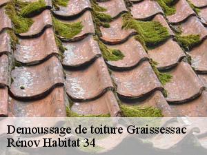Demoussage de toiture  graissessac-34260 Rénov Habitat 34 