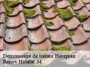Demoussage de toiture  herepian-34600 Rénov Habitat 34 