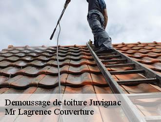 Demoussage de toiture juvignac-34990 Mr Lagrenee Couverture