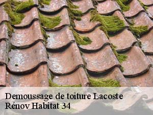 Demoussage de toiture  lacoste-34800 Rénov Habitat 34 
