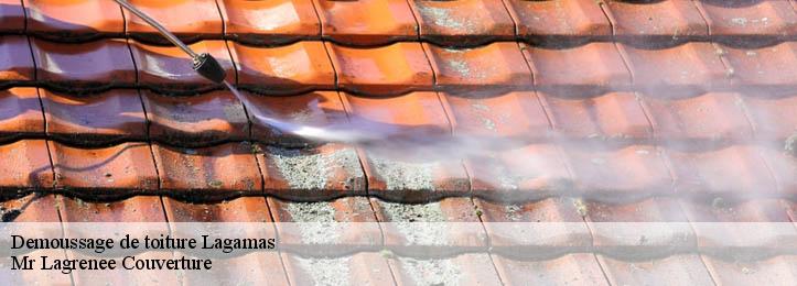 Demoussage de toiture  34150