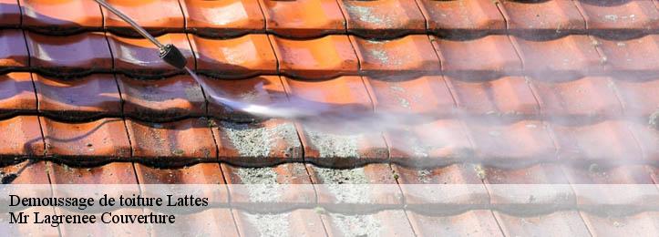 Demoussage de toiture 34970