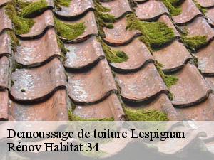Demoussage de toiture lespignan-34710 Rénov Habitat 34