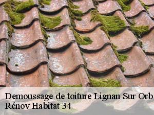 Demoussage de toiture lignan-sur-orb-34490 Rénov Habitat 34