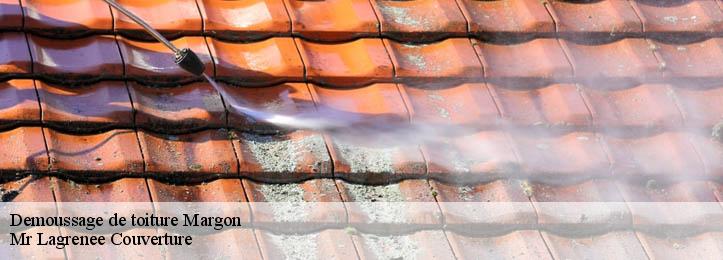 Demoussage de toiture 34320