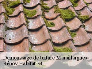 Demoussage de toiture  marsillargues-34590 Rénov Habitat 34 