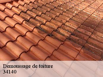 Demoussage de toiture 34140