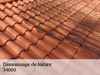 Demoussage de toiture 34000
