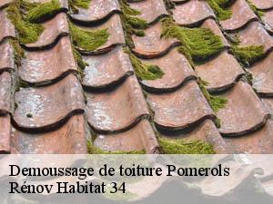 Demoussage de toiture pomerols-34810 Rénov Habitat 34