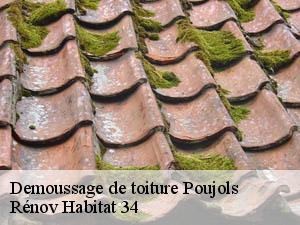 Demoussage de toiture  poujols-34700 Rénov Habitat 34 