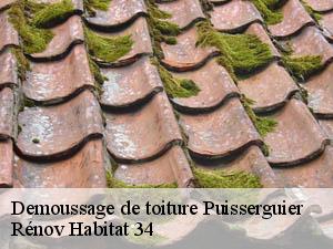 Demoussage de toiture  puisserguier-34620 Rénov Habitat 34 