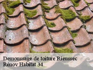 Demoussage de toiture  rieussec-34220 Rénov Habitat 34 