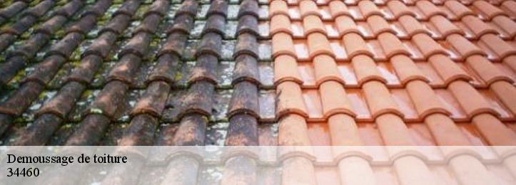Demoussage de toiture 34460