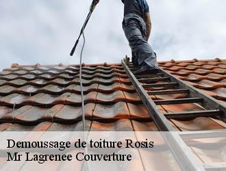 Demoussage de toiture rosis-34610 Mr Lagrenee Couverture