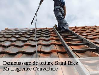 Demoussage de toiture saint-bres-34670 Mr Lagrenee Couverture