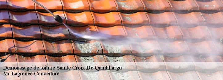 Demoussage de toiture 34270