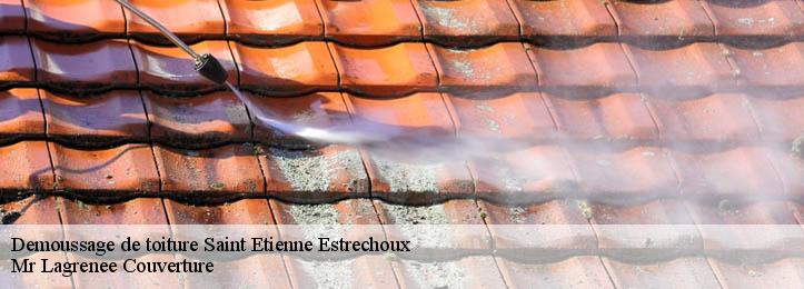 Demoussage de toiture 34260