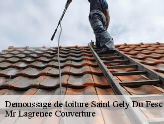 Demoussage de toiture saint-gely-du-fesc-34980 Mr Lagrenee Couverture