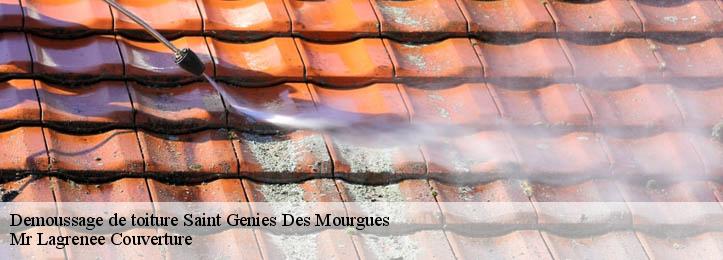 Demoussage de toiture  34160