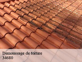 Demoussage de toiture 34680
