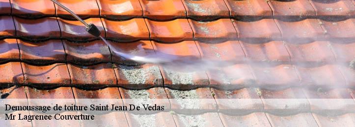 Demoussage de toiture 34430