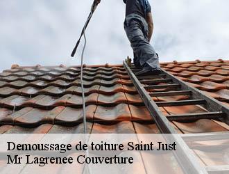 Demoussage de toiture  saint-just-34400 Mr Lagrenee Couverture