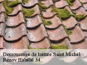 Demoussage de toiture  saint-michel-34520 Rénov Habitat 34 