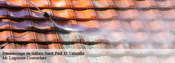 Demoussage de toiture 34570